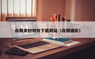 张掖白鹅素材特效下载网站（白鹅摄影）